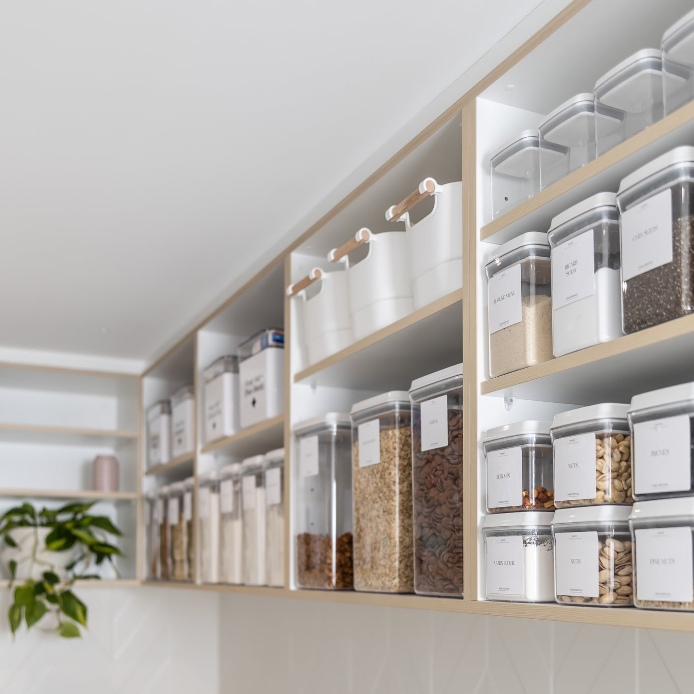 Kitchen with organized shelves containing various pantry storage containers.