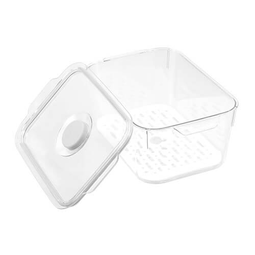 Fresh fruits and vegetables stored in the Green Saver for optimal freshness.
