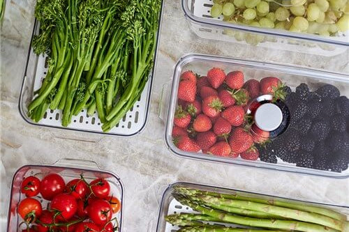 Durable construction of the Crystal Green Saver Fresh Storer, made from BPA-free materials.