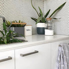 White and Black Laundry with jars and boxes on counter labeled "Washing Powder" and "Softener" plants on counter and sink