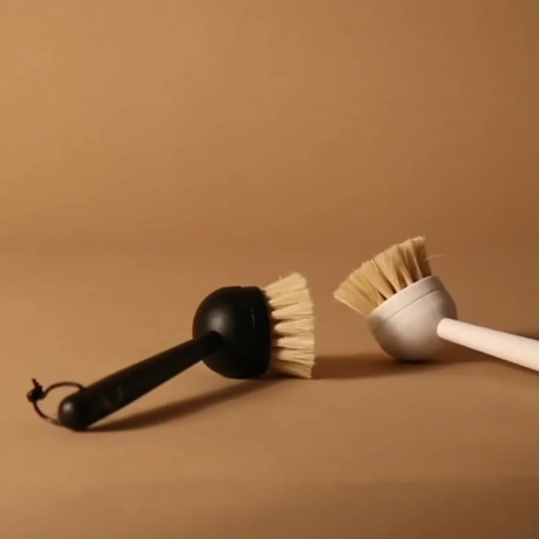 Eco Dish Brush