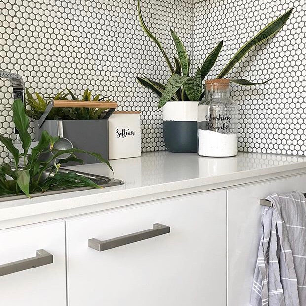 White and Black Laundry with jars and boxes on counter labeled "Washing Powder" and "Softener" plants on counter and sink